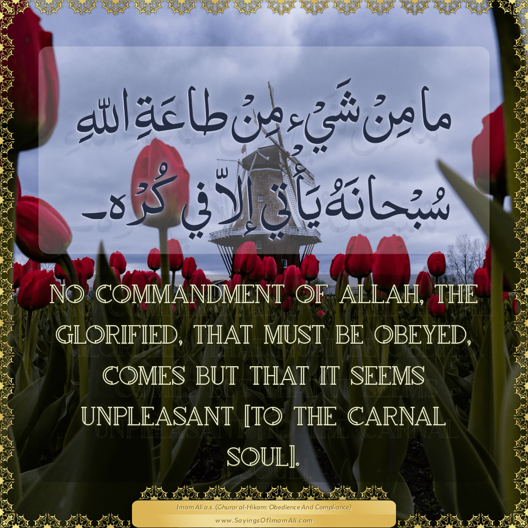 No commandment of Allah, the Glorified, that must be obeyed, comes but...